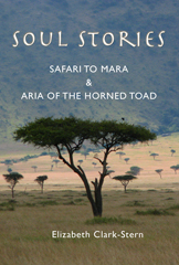 Soul Stories: Safari to Mara and Aria of the Horned Toad
